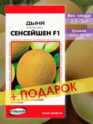 Семена дыни Амал F1, 5 шт, Clause, Франция, Садыба ➤ купити в магазині  Zelena Ferma за 29.00 грн.