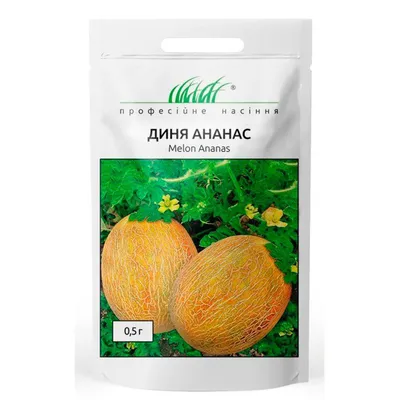 Дыни Семена Алтая 7349148 - купить по выгодным ценам в интернет-магазине  OZON (534255334)