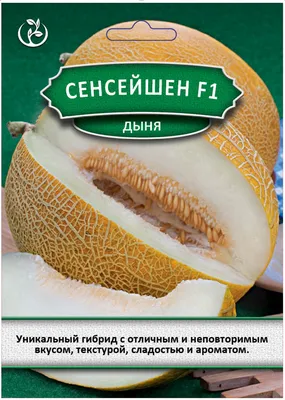 Каррера F1 семена дыни (Nunhems / ALEXAGRO) – купить за 434 ₽ |  alex-agro.com