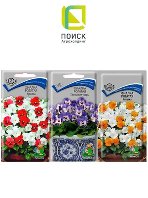 Семена цветы Фиалка рогатая, 0,1 г (ID#913256685), цена: 7 ₴, купить на  Prom.ua