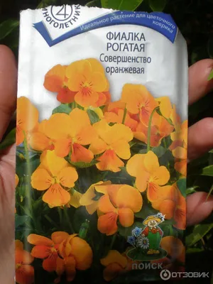 Фиалка рогатая Тайгер ай ред семена съедобных цветов купить в магазине  «Ильинские травы»