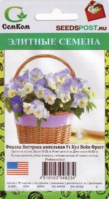 Виола Династия White Blotch купить семена фиалки Kitano Seeds | доставка  почтой по Украине