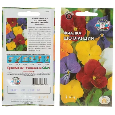 Фиалка большая жёлтая 🌱 - купить семена фиалки в Украине | FLORIUM.UA✓