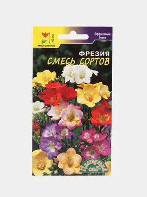 Семена цветов Фрезия, смесь сортов купить по цене 119 ₽ в интернет-магазине  KazanExpress
