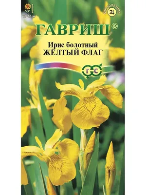 Семена Ирис \"Желтый флаг\", 3 шт. купить, отзывы, фото, доставка - СПКубани  | Совместные покупки Краснодар, Анапа, Новороссийск, Сочи, Краснодарский кр