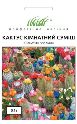 Семена Кактус комнатный смесь 0,1 г (ID#658716148), цена: 17.70 ₴, купить  на Prom.ua