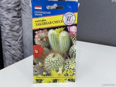 Семена кактусов Echinofossulocactus PENTACANTUM MIX (10 шт.) / Редкие семена  кактусов / в каждом виде по 5 семян — купить в интернет-магазине по низкой  цене на Яндекс Маркете