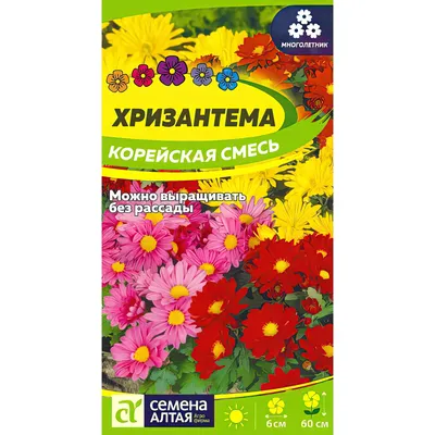 Отзыв о Семена хризантемы Поиск \"Корейская смесь\" | Неприхотливые,  всхожесть хорошая, проблем с уходом нет.