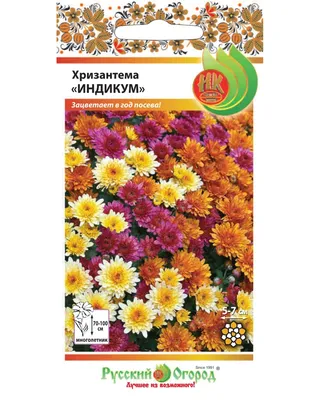 Семена хризантема Семена НК Индикум смесь 703523 1 уп. - характеристики и  описание на Мегамаркет