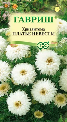 Семена Русский Огород Хризантема Хоровод, 100мг - купить с доставкой в  Самаре в Перекрёстке