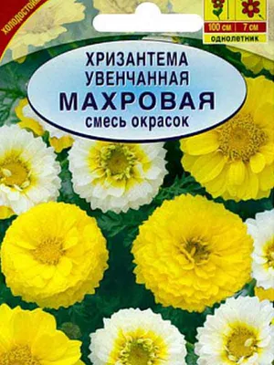 Хризантемы: выращивание осенних красавиц для декорирования ландшафта до  первого снегопада - полезные статьи о садоводстве от Agro-Market