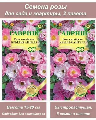 Гибискус китайский красный - Китайская роза - Бунгарайя - (лат. Hibiscus  rosa-sinensis) СЕМЕНА 15шт + подарок | AliExpress