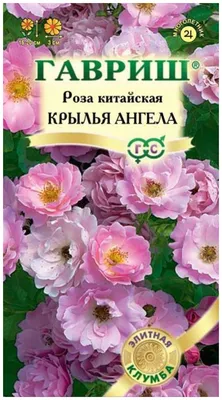 Купить Семена Гибискуса комнатного (китайской розы) в Москве с доставкой