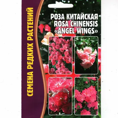Семена экзотической многолетней китайской розы для дома, сада, балкона, 12  разновидностей (ID#1928162418), цена: 9 ₴, купить на Prom.ua