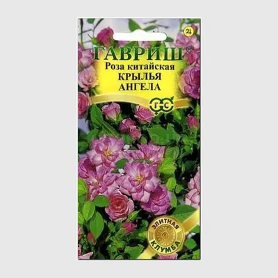Семена розы китайской «Крылья Ангела» / Rosa chinensis Jacq., ТМ «ГАВРИШ» -  5 семян купить недорого в интернет-магазине семян OGOROD.ua