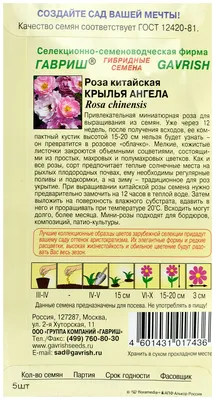 Роза - крылья ангела из семян. [Надежда и мир] - YouTube
