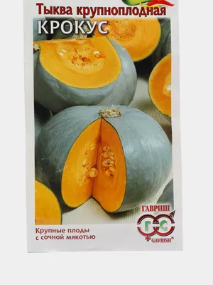 Шафран посевной луковицы 1 кг (Crocus sativus) шафрановый крокус осенний  семена морозостойкий для специи (ID#1475354909), цена: 999 ₴, купить на  Prom.ua