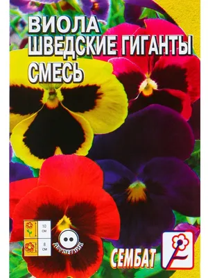 Семена цветов многолетников дельфиниум тысячелистник фиалка Агрохолдинг  Поиск 134113474 купить за 277 ₽ в интернет-магазине Wildberries