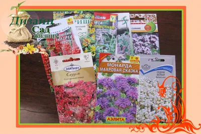 Семена цветов многолетних для сада Семко 162298079 купить за 317 ₽ в  интернет-магазине Wildberries
