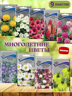 Семена многолетних цветов купить по низким ценам в интернет-магазине Uzum  (401047)
