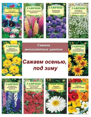 Агрохолдинг Поиск Набор семена многолетних цветов