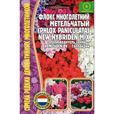 Мальва Персиковая мечта 0,1 г, семена многолетних цветов для сада, семена  многолетников, многолетние цветы | AliExpress