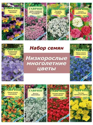 Семена многолетних цветов. Ожидание - реальность. 2 часть. | Скромная  дачница | Дзен