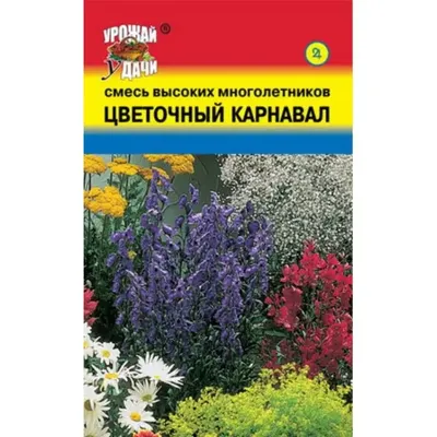 Разноцветные цветущие клумбы – лучшее украшение любого сада Новости Нижнего  Новгорода