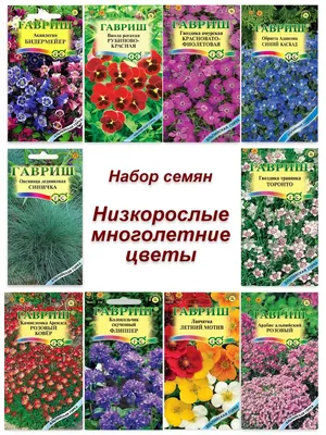 Семена многолетних цветов Гавриш 42948118 купить за 392 ₽ в  интернет-магазине Wildberries