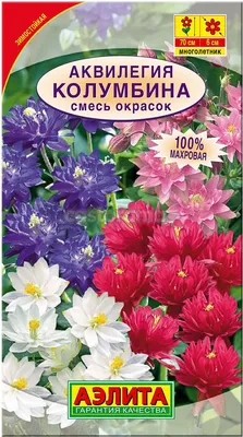 Семена многолетних цветов Броваллия, Гипоэстес, Колеус, Сесбания, Эвкалипт,  Мимоза и другие купить по низким ценам в интернет-магазине Uzum (757157)