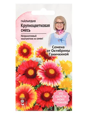 Семена многолетних цветов купить недорого в Новокузнецке - заказать с  доставкой почтой в интернет-магазине семян «Усадьба»