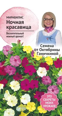 Гайлардия Крупноцветковая смесь 0,2 г, семена многолетних цветов для сада |  AliExpress