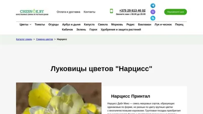 Купить семена: Нарцисс Minnow - цены,фото,отзывы | Green-Club.com.ua