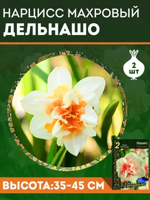 Ваше хозяйство Луковичные семена Нарциссы Махровые Дельнашо 2 шт
