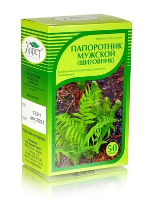 Медуллозовые (Семенные папоротниковидные) | ПалеоФлора.ру
