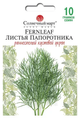 картинки : дерево, природа, лес, филиал, солнце, цветок, Зеленый, Осень,  ботаника, Флора, листья, Семена, Просвечивающий, Кустарник, Яркий,  Филигрань, Макросъемка, Листовой папоротник, цветущее растение, Трава  семьи, Стебель растения, Древесное ...