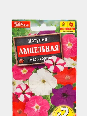 Семена Петунии купить по цене 130 ₽ в интернет-магазине KazanExpress