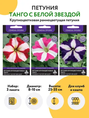 Семена петунии Агромаркет Афродита пурпурная F1 (драже, 7 шт.) купить в  Минске.