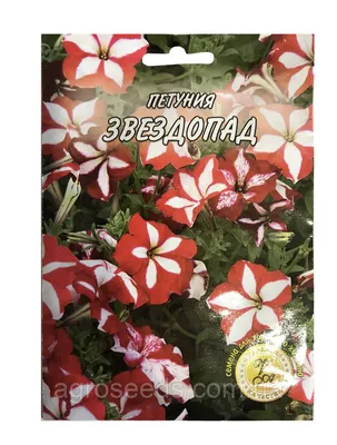 Семена петунии махорли купить по низким ценам в интернет-магазине Uzum