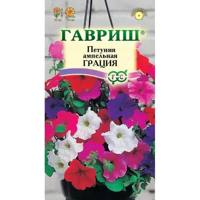 Семена Петуния ампельная Грация – купить в Алматы по цене 110 тенге –  интернет-магазин Леруа Мерлен Казахстан