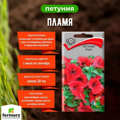 Семена Петуния Пламя 0,1гр. купить за 50 рублей в интернет-магазине  fermerz.ru. Доставка по всей России. Продажа | Цена | Отзывы