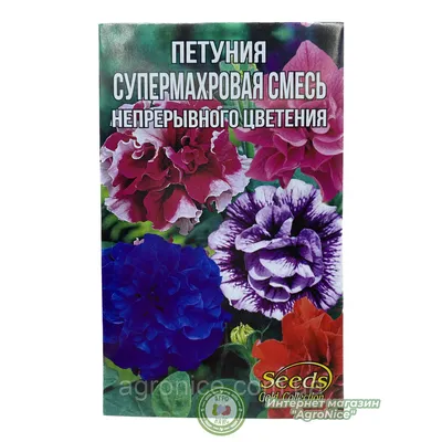 Семена Петуния ампельная Пурпурная Звезда F1 10 шт купить в  интернет-магазине Доминго