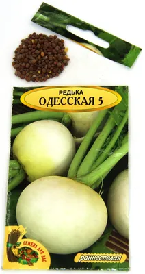 Семена редьки Дайкон Титан F1 купить в Украине | Веснодар