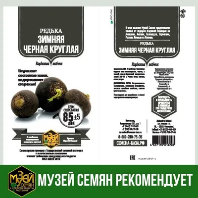 Семена редьки Черная Зимняя купить в Украине | Веснодар