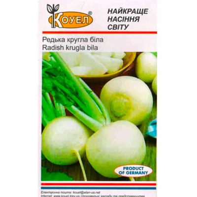 Купить семена редьки Одесская 5, среднеспелый сорт, Украина 20  г.|интернет-магазин Ogurki.com