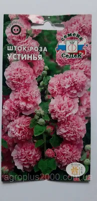 Семена Мальва (Шток-роза) Устинья 0,1 грамма Седек (ID#1529286835), цена:  15 ₴, купить на Prom.ua