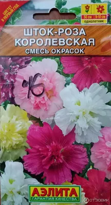 Отзыв о Семена шток-розы Аэлита \"Королевская\" смесь окрасок | Всхожесть 31 %