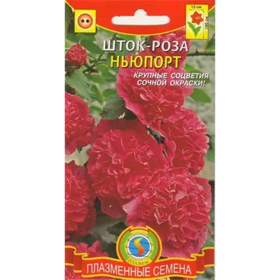 Семена шток-роза Семена Алтая Темно-бордовая Р00007475 1 уп. - купить в  Москве, цены на Мегамаркет
