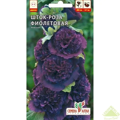 Мальва Нигра шоколадная купить семена шток-розы Hem Zaden | доставка почтой  по Украине