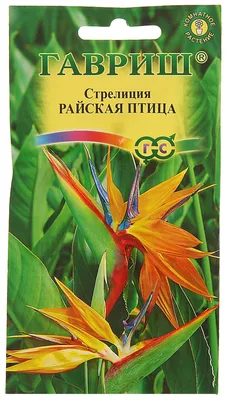 Семена стрелиция Гавриш Райская птица 57802 1 уп. - купить в Москве, цены  на Мегамаркет